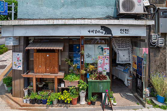 조흥상회 독립책방 나비날다