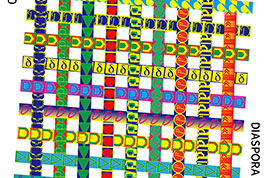 디아스포라 영화제