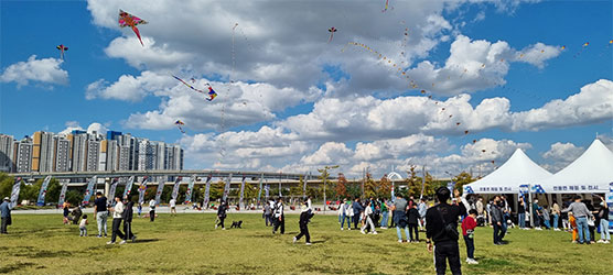 2022 ifez 국제도시 문화대축전 바람의 연 축제