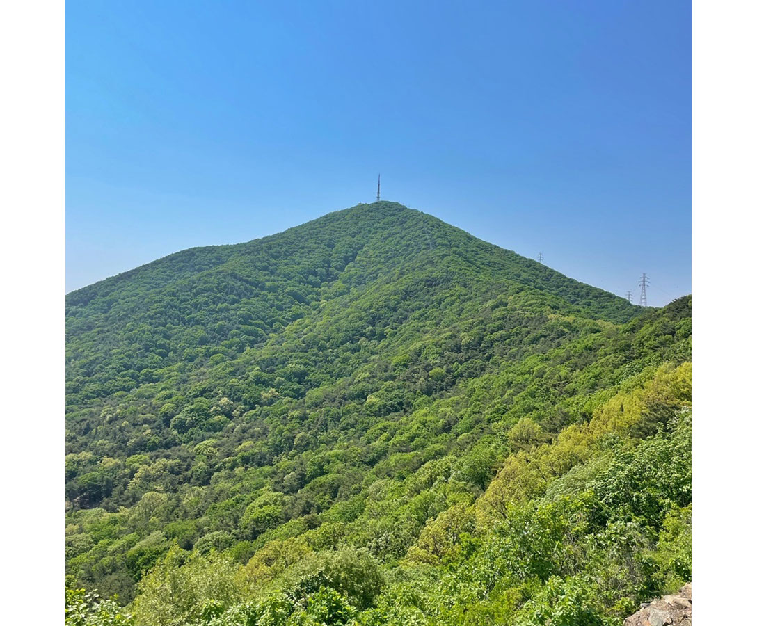 계양산, 자연이 주는 예술적 영감은 특별하다