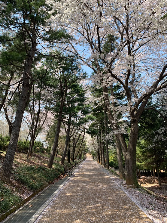 연희공원 산책 ©정우신